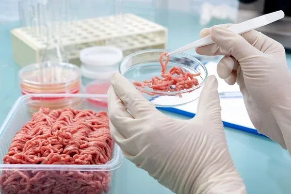 primer plano de control de calidad de productos alimenticios en un laboratorio y con la seguridad recomendada
