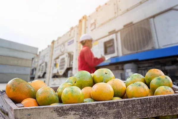 Operaria de maquinaria asegurándose que los productos a transportar cumplan con los requisitos requeridos por el Codex Alimentarius