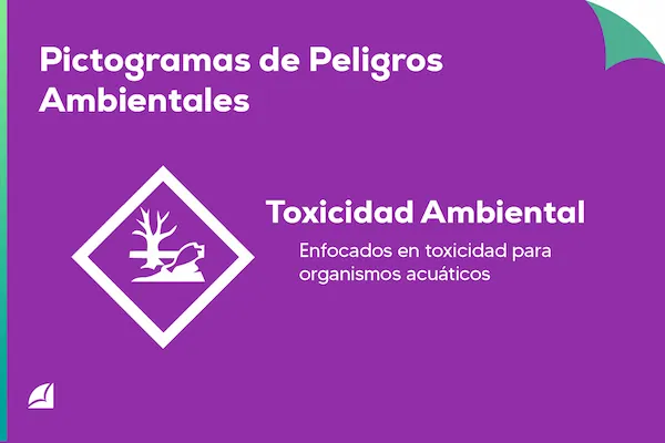 infografía sobre los Pictogramas de Peligros Ambientales