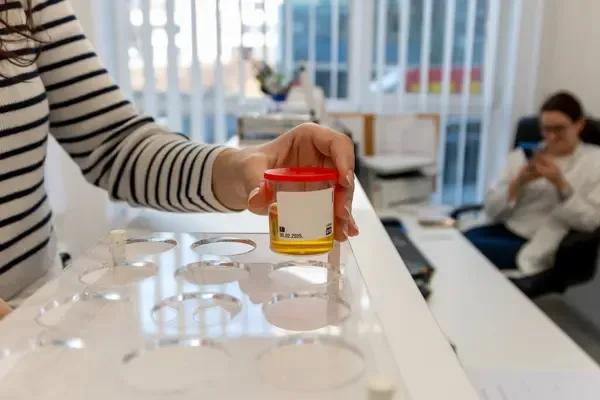 Normas para el transporte de muestras de laboratorio